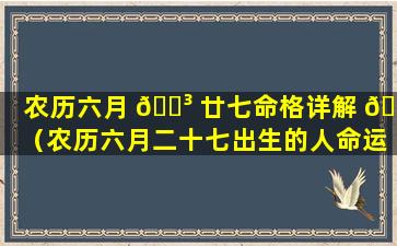 农历六月 🐳 廿七命格详解 🌲 （农历六月二十七出生的人命运如何）